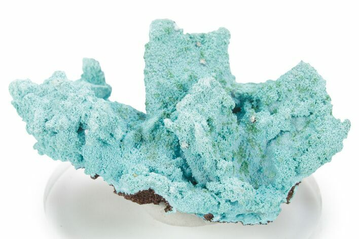 Chrysocolla and Malachite Pseudomorph - Lupoto Mine, DR Congo #354681